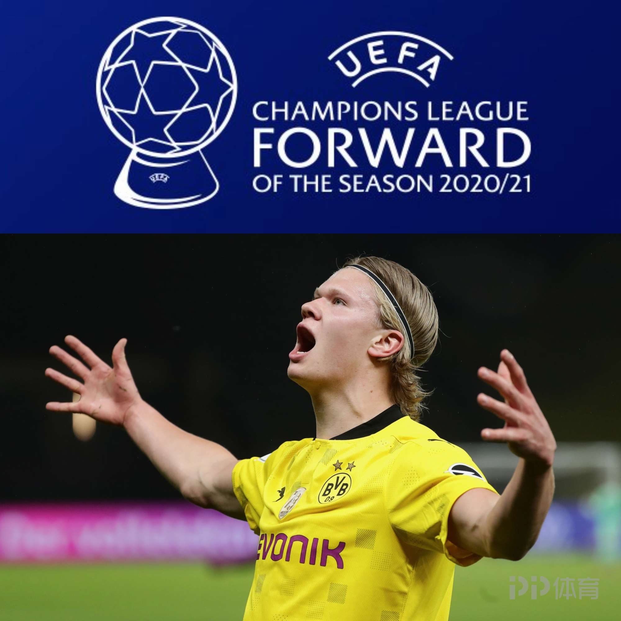 在保留系列 在保留系列